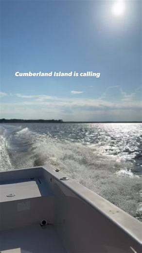 🐴Make a day of exploring Cumberland Island by water. From wild horses along the shoreline to quiet coves and sandy beaches, the island feels like another world, and it’s just minutes from your St. Marys getaway. With room to park your boat in the driveway and a public boat ramp, just a short walk away, you can spend less time hauling and more time on the river. Book your St. Marys stay at staybettervacations.com today. #vacationrental #stmarysga #coastal #boating #outdoors #cumberlandisland #st