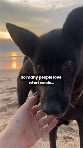 🖤 BLACK FRIDAY: Our biggest discount EVER 20% OFF EVERYTHING Code: BLACKFRIDAY Why we're doing this: We get messages all the time from people who say: "I want to help but it's not in my budget right now." We hear you. This weekend, everyone can help—regardless of budget. We don't plan on going this far again. Every item: ✅ Feeds 10 abandoned dogs ✅ Monthly photo updates included ✅ Handcrafted adjustable design 350,000 dogs fed. 20,000 people helping. Your turn—at our lowest price ever. 🧡 Shop 