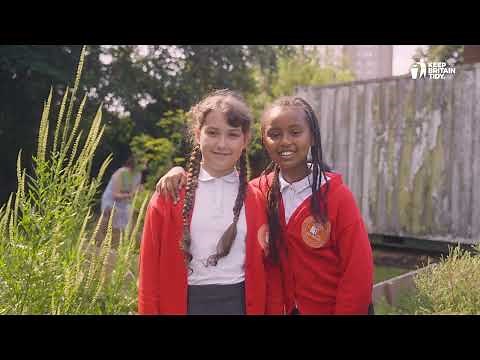 What is Eco Schools?