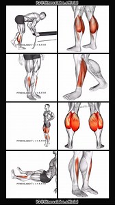7.5M views · 37K reactions | ✅ How to Grow your Calves ① One Leg Donkey Calf Raise ② Ankle Dorsal Flexion ③ Tow Walk ④ Feet and Ankles Rotation Stretch 3 sets 15 reps #fitness #gym #exercise #workout #workoutroutine #exercisetips #fitnesstips #bodybuilding #calfworkout #calf | Fitnesslabo | Facebook
