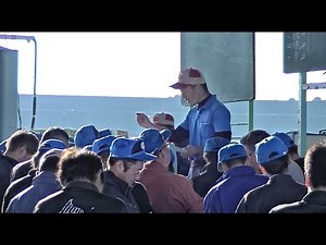 冷凍カツオのセリ