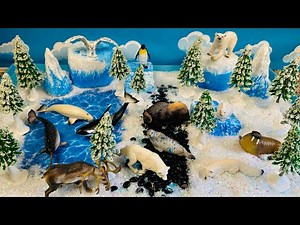 Amazing Polar Animals | DIY Arctic & Antarctic 3D animals Diorama | Polar Bear, Seal, Penguin & More