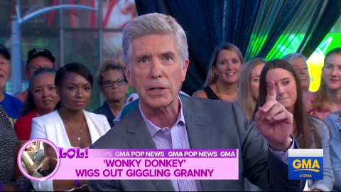 Giggling grandma reading 'The Wonky Donkey' sparks book sales