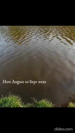 Guy Loses Shoe While Fishing