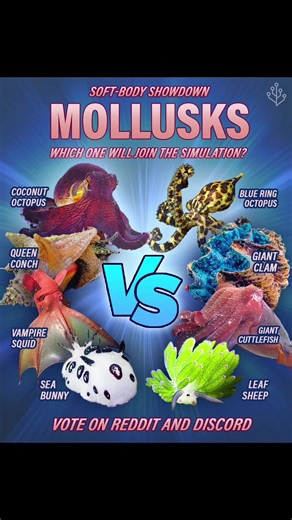 🐙🐚 SOFT-BODY SHOWDOWN 🦑🐌 These 8 mollusks want to join the simulation and are duking it out for a spot on the tree. We can't possibly choose just one, so we're turning to you to vote for your favorite freaky creature to be added into the ocean garden 🏆 Head over to Discord & Reddit to cast your vote! #mollusks #seaslug #ocotpus #clams #marinelife
