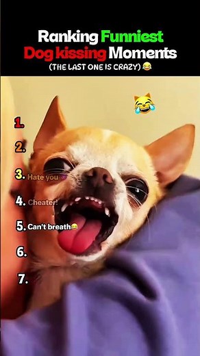 Ranking Funniest Dog kissing Moments