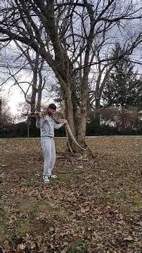 Mrs Marilyn The reticulated python