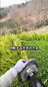 Hedge trimmer for garden tree care