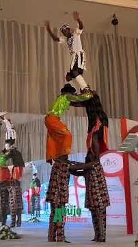 The Federal Inland Revenue Service (FIRS)