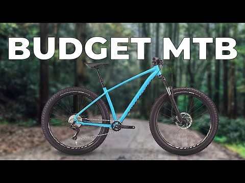 Best Budget Mountain Bikes You Can Buy in 2025