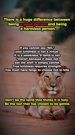 The Difference Between Being Kind and Being Harmless