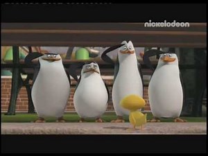 Nickelodeon Russia - Continuity & Promos - August 2011