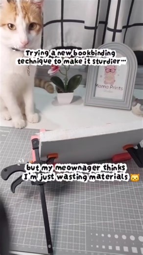 199K views · 1K reactions | Just me being “proactive” and learning new techniques, while my meownager silently judges every move. This time, I’m testing mull cloth on the spine to make the book block stronger and more flexible. (Crafting level: supervised by cat ) #mamaprintsstudio #printing #crafts #craftwithme #TrusGodsPlan #crafter #fypシ゚viralシfypシ゚ | Mama Prints Studio | Facebook