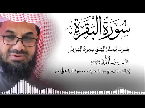 سورة البقرة (كاملة) فضيلة الشيخ سعود الشريم surah baqarah saud shuraim