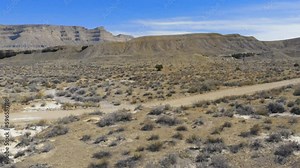 Aerial-Flying over desert road and brush toward a lone juniper tree in a dry arid desert scene