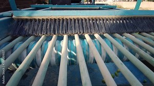 Olives sorted in olive sorting machine. Olives moving on the rails. Pickled and rolled olives. Olives separated from their leaves.