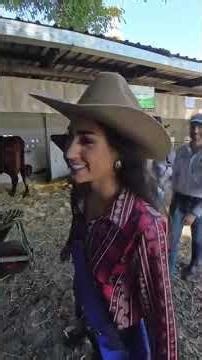 Cattle Show Highlights 2024 🐄