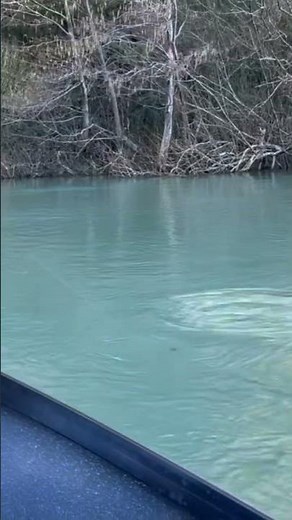 Winter STEELHEAD fishing | Eel River #fishing #riverguide #steelhead