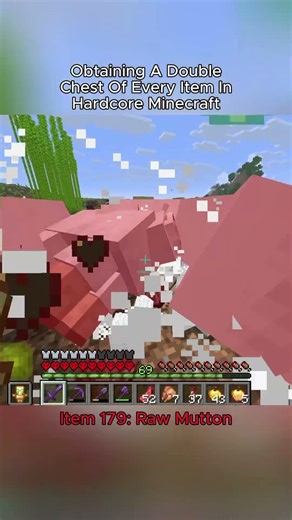 Hardcore Minecraft Double Chest Challenge (Item 179: Raw Mutton)