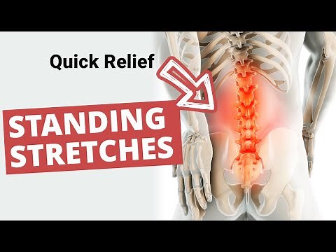 7 Standing Lower Back Pain Stretches for PAIN RELIEF