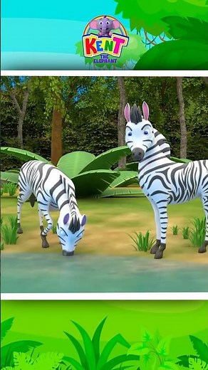 Black & White Stripes 🦓 Who Am I? #shorts #rhymes #kidsvideo