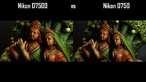 Nikon D7500 vs Nikon D750