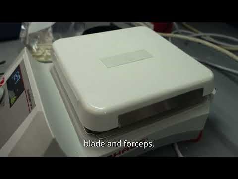 4 Mounting UV Resin Embedded Sample for 2nd Cut of the thin section