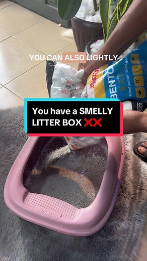 How to Use Baking Soda to Keep Your Cat's Litter Box Smelling Fresh