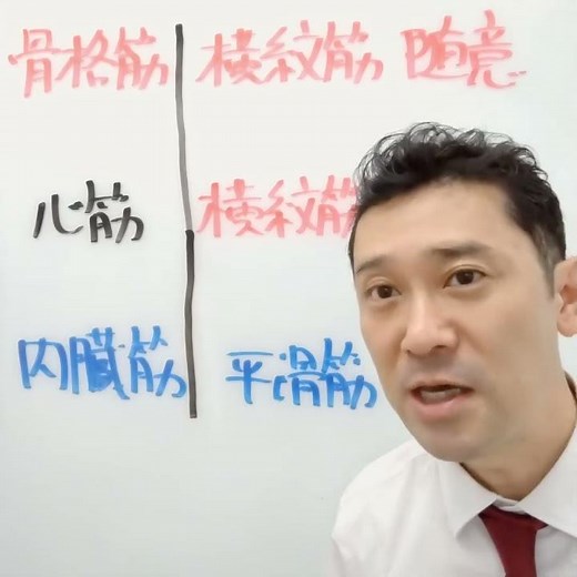 心筋は横紋筋である。〇or✕