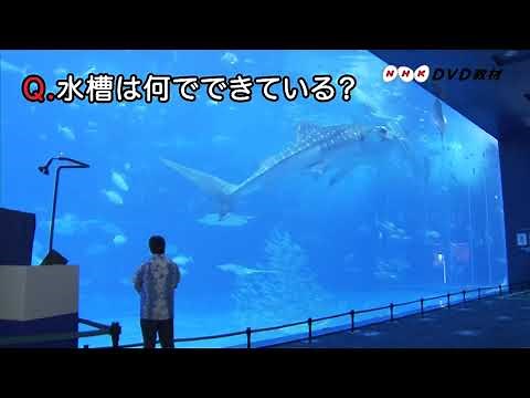 NHK DVD教材 中学校技術分野vol.1 材料と加工の技術を見つける