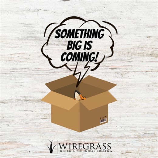 2.8K views · 15 reactions | ️‍♂️ Something BIG is coming to Wiregrass… but what (or WHO) could it be? The college voted on a mascot and name last fall, and we are getting ready for a reveal soon!  Stay tuned! #WiregrassMascot #ComingSoon #WiregrassTech | Wiregrass Georgia Technical College | Facebook
