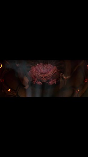 Cuentas recomendadas