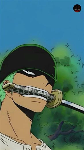 Zoro Saw the GRIM REAPER?! 💀😱 The Wano Mystery Explained.#OnePieceTamil #Zoro #GrimReaper