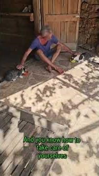 Minimalist Life in a Tiny Home | Daily Routine in Nature #naturlove #simplelife #fyp #tinyhome