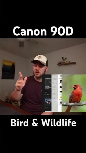 Canon 90d bird and wildlife photography #canon #birdphotography #canon90d