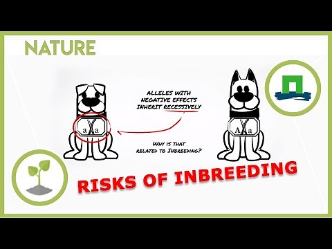 Why the inbreeding of animals causes health problems | WURcast