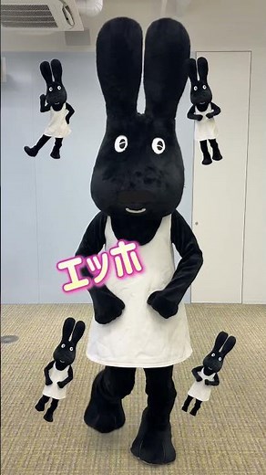 武庫川女子大学の豆知識 #武庫川女子大学 #MWU #大学 #Lavy