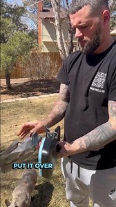 Experience a New Era of Dog Ownership with the DOGOPAL Pooper Scooper