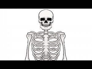 How to Draw A REALISTIC SKELETON | Realistic Drawing Tutorial for Beginner
