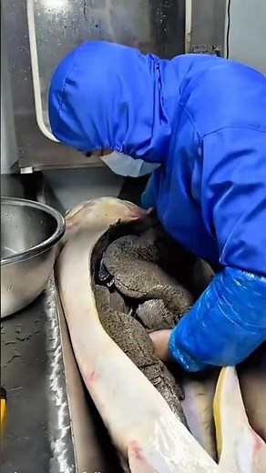 Caviar without killing the fish? The No-Kill Method Explained 🐟💎