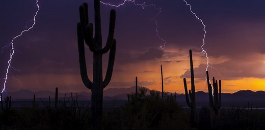 Monsoons make deserts bloom in the US Southwest, but climate change is making these summer rainfalls more extreme and erratic