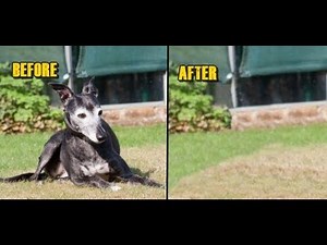 how to remove an object from an image using photoscape