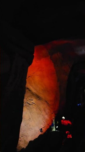 Heigh-Ho on Seven Dwarfs Mine Train 🎶⛏️