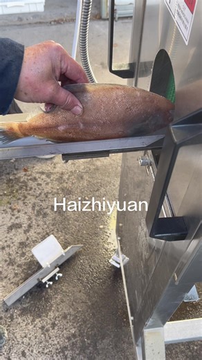 #seafood #machines #food #fish