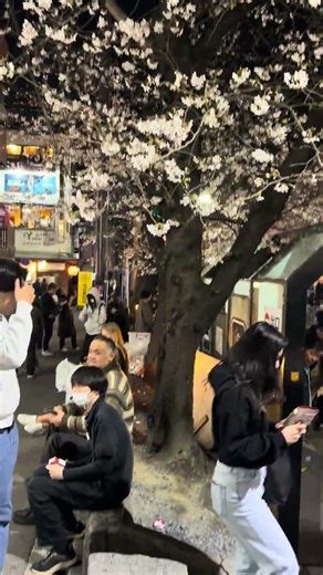 Smoking in Kyoto;smokers are discriminated big time!There are very few smoking places,rest is police