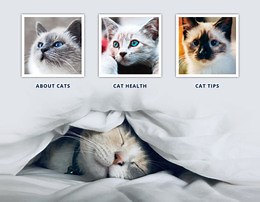 Veterinary doctor cats - Html Code Example by Nicepage