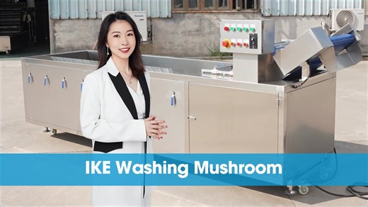 Ozone Automatic Vegetable Washing Equipment Lettuce Seaweed Fruit Food Washer Industrial Plant Cleaning Machine with Motor Pump