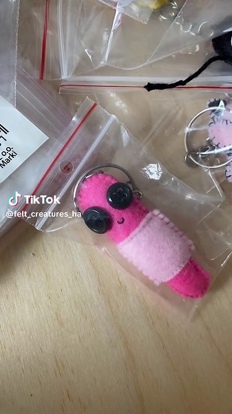felt_creatures_hand_made na TikTok