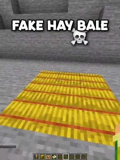 Minecraft FAKE Hay Bale Trap!