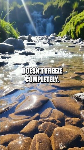 The Mind-Blowing Instant Ice Experiment